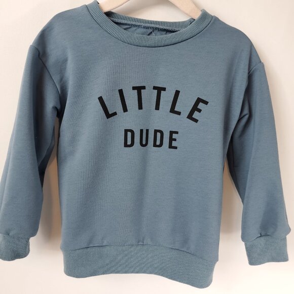 Adorable Blue/Grey Boys Long Slv Crew Neck Sweater "Little Dude" Sz 5T - Picture 2 of 8